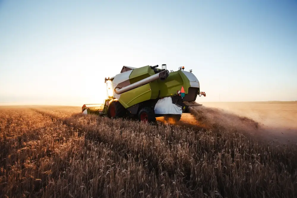 Agribusiness and Food