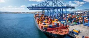 Container ship at berth under cranes, the supply chain an essential supplies protocol addresses